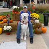 Available: Professional Petsitter in Morton