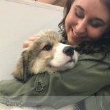 A pet is not just a pet, they are family!