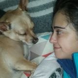 Let's care your home and pets with love like they are my own