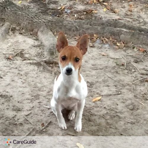 Pet Care Provider Julie N's Profile Picture