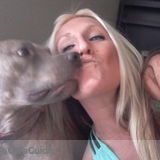 Fun Loving Pet Sitter Available