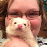 Animal lover looking to pet sit & dog walk!