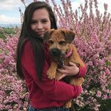 Pet Sitter in Bozeman