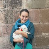 Animal lover looking for work!