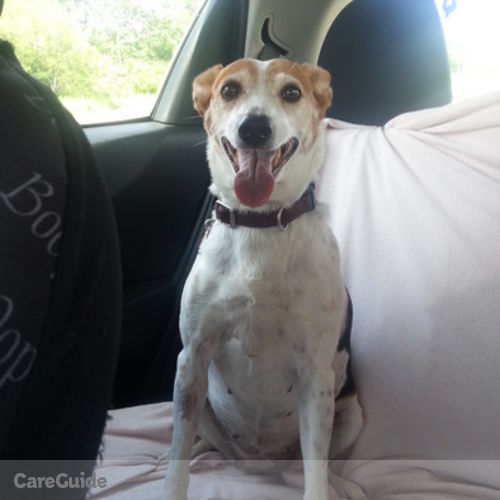 Pet Care Job Holly L's Profile Picture