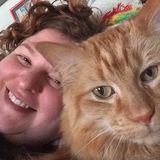 Pet Sitting Offered in Carlisle