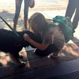 Athens Pet Carer Looking For Job Opportunities in Georgia