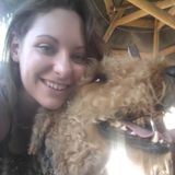 Friendly and energetic animal lover in Gilbert. Feeding, walking, training, and basic grooming