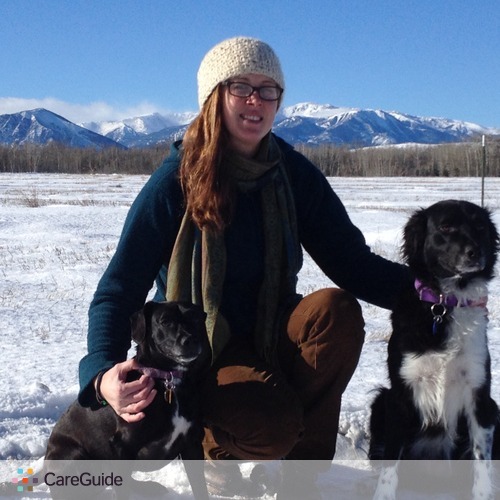 Pet Care Provider Rachel A's Profile Picture