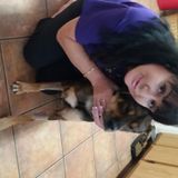 Seeking a Dog/Cat Sitting Job in or near Round Rock