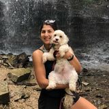 Professional animal lover!