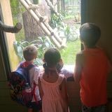 Stay & Play Home Childcare - Spaces Available
Oshawa, Ontario Sitter