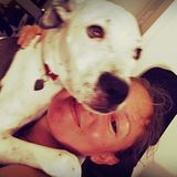 Experienced and Loving Dog Walker Available Immediately
