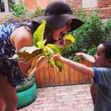 Backyard Babysitter looking to help your kids GROW!