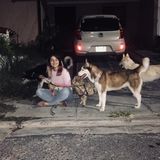 Searching for a Dog Walker Job in Los Angeles, California
