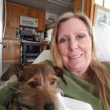 Passionate Housesitter Available Immediately