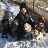 Available: Caring Petsitter