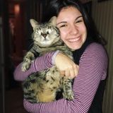 Pet Sitter available January 10th!