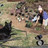 Dogs and Cats are My Favorite People. Pigs, rabbits, horses, goats, etc make for good company, too.