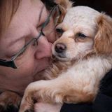 Experienced pet owner and have fostered both cats and dogs.