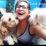 Dog Walking Offered in Reston