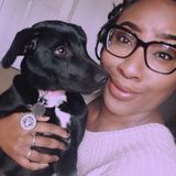 Dog's Best Friend!