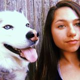 Loving pet sitter for all animals