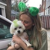 Looking For LA/Glendale Pet Sitter, California Jobs