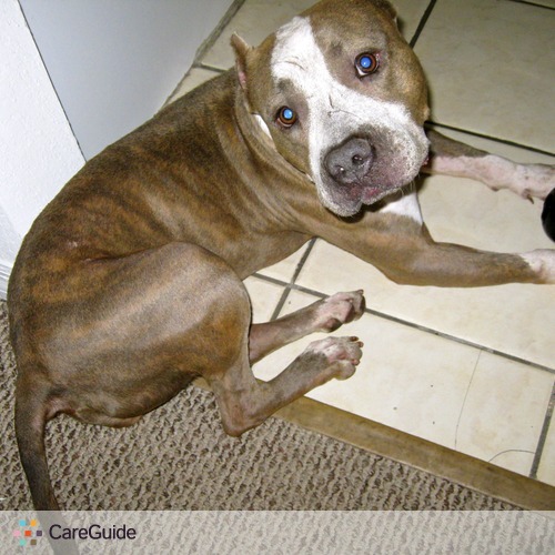 Pet Care Provider Ego Ekenta's Profile Picture