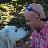 Experienced Pet Sitter, Trainer, and Pet Enthusisiast