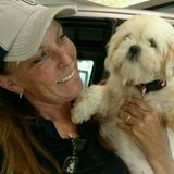 Skilled House Sitter in Navarre, Florida
