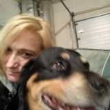 Seasoned Dog Walker in Cedar Rapids