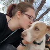 North Phoenix animal caregiver looking to help!