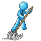 THE DIRT DEVILS.... Professional Cleaners