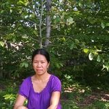 Edgecomb Home Cleaning Provider Looking For Work in Maine