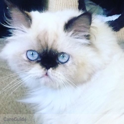 Pet Care Job Pollyana G's Profile Picture