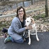 Searching for a Dog Walker Job in Springfield