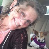 Racine dog walker wants to show your fur baby all the best places to explore