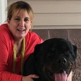 Awesome Person House Sitting for the Summer