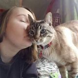 Professional Petsitter in Port Alberni