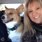 Pooches&Purrs Pet Services