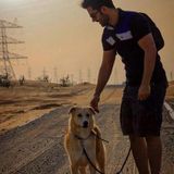 Dog Walking Offered in Montreal