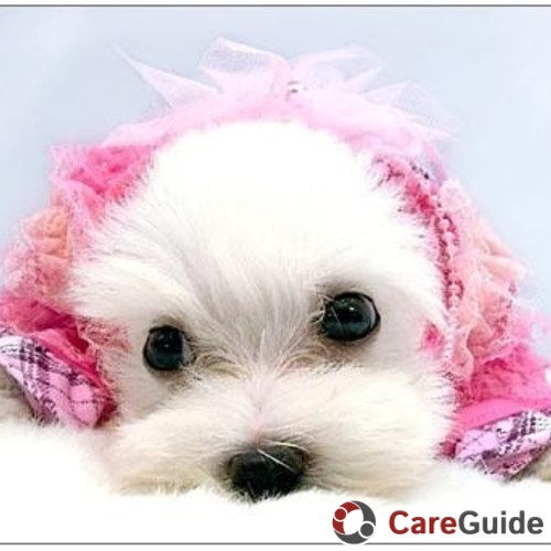 Pet Care Provider Estelle B's Profile Picture