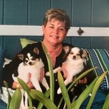 I'm a former dog trainer and behaviorist.
