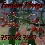 Fontain Photos we don't take pictures we make memories you're sure to love