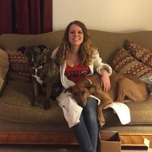 Pet Care Provider Bethany F's Profile Picture