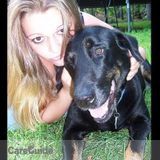 Experienced Pet Care Provider