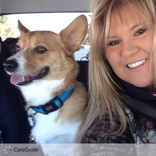 Pet Care Provider Morgan B's Profile Picture