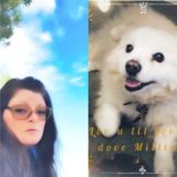 La Caada Flintridge Pet Groomer Opportunity