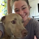 Available for The Woodlands & Magnolia! Passionate about animals and their owners!
